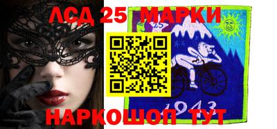 индика Гусев