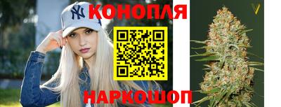 индика Гусев