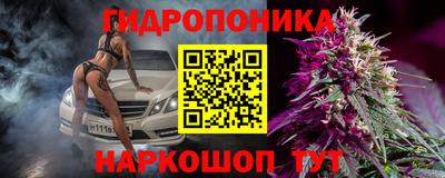 индика Гусев