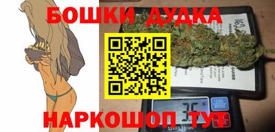 индика Гусев
