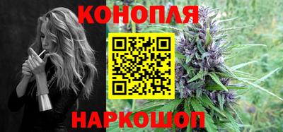 индика Гусев