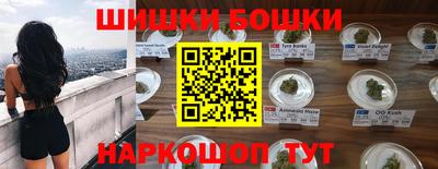 индика Гусев