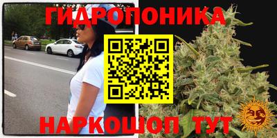 трава Гусь-Хрустальный